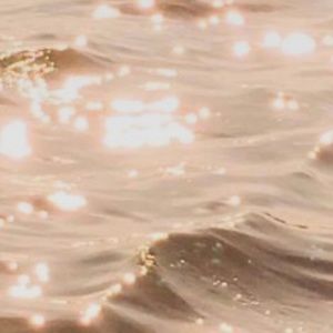 Meet your Posher, Allyson